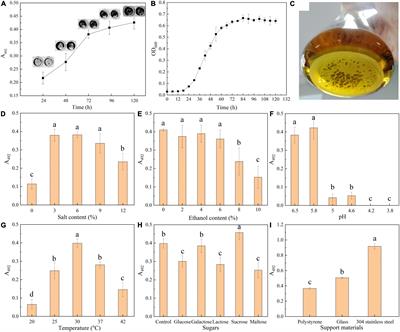 Formation of Biofilm by Tetragenococcus halophilus Benefited Stress Tolerance and Anti-biofilm Activity Against S. aureus and S. Typhimurium